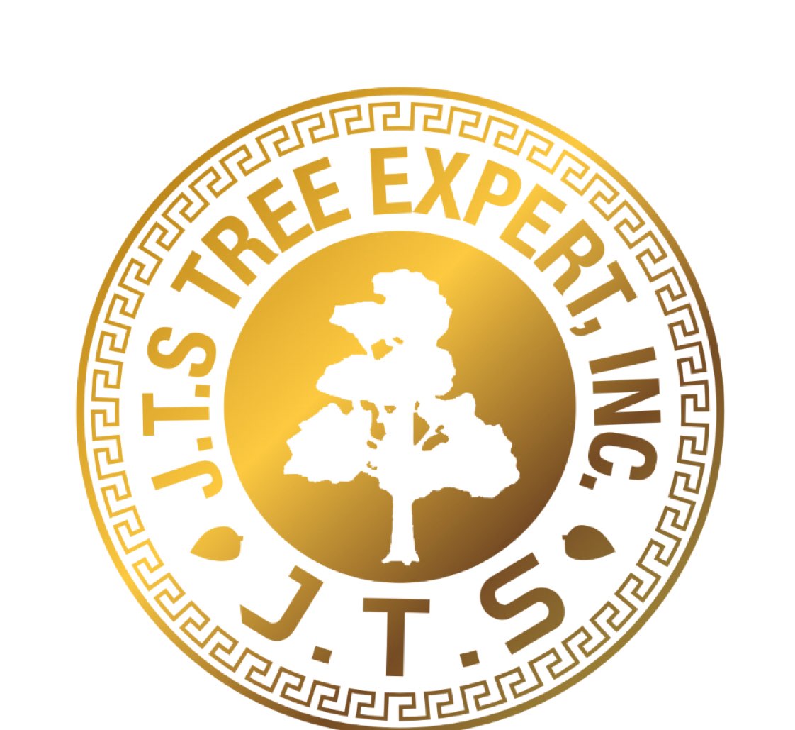 Logo for J.T.S TREE EXPERT, INC