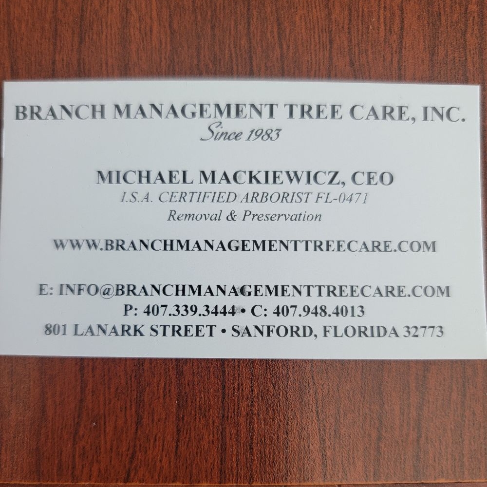 Logo for Branch Management Tree Care Inc