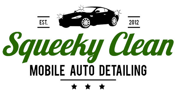 Squeeky Clean Mobile Auto Detailing logo