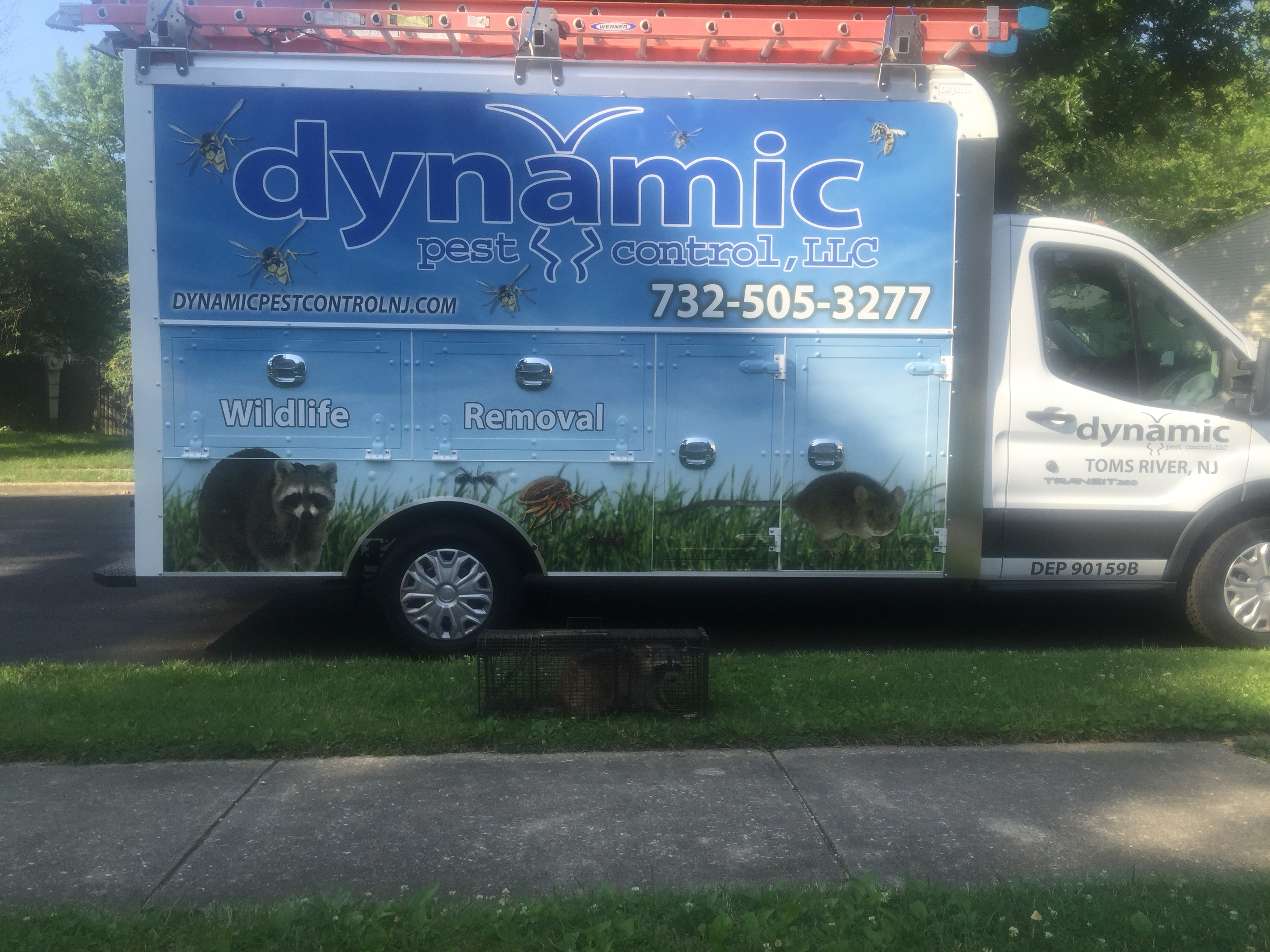 Logo for Dynamic Pest Control