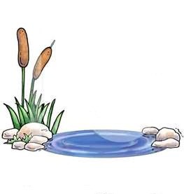 PondCare of San Antonio logo