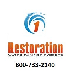 Logo for Restoration 1 of Morris County