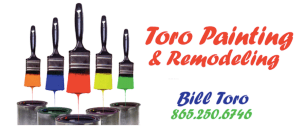 Toro Painting & Remodeling logo