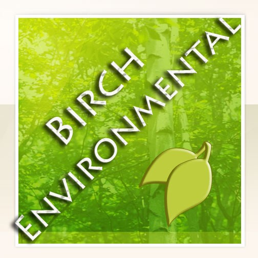 Avatar for Madison Insulation and Mold Remediation