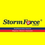 Logo for StormForce of Jacksonville