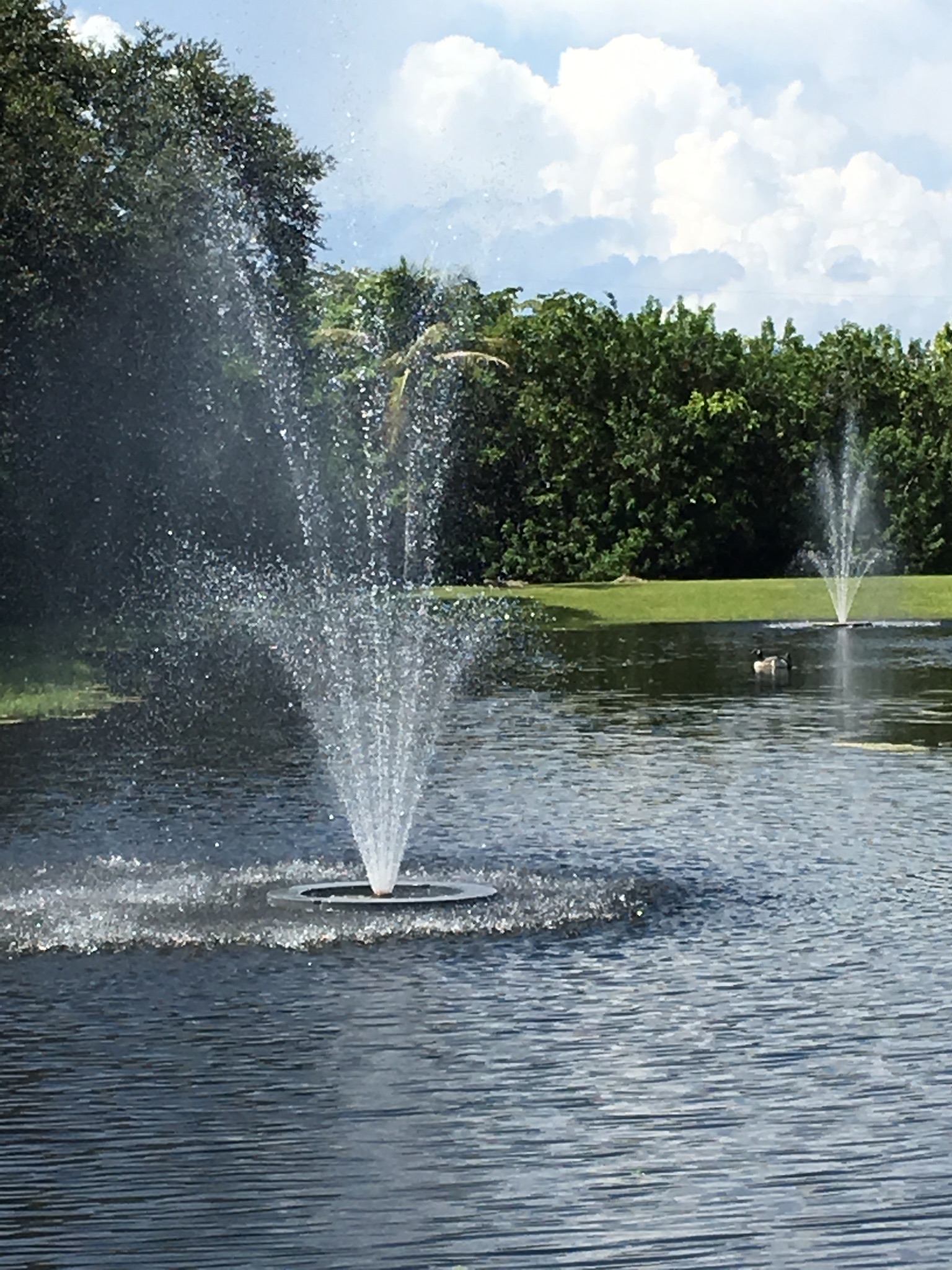 Budget Sprinkler Repair LLC logo