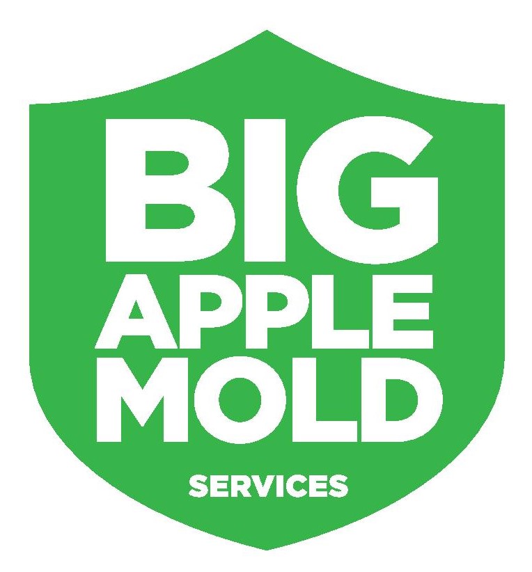 Big Apple Mold Removal logo
