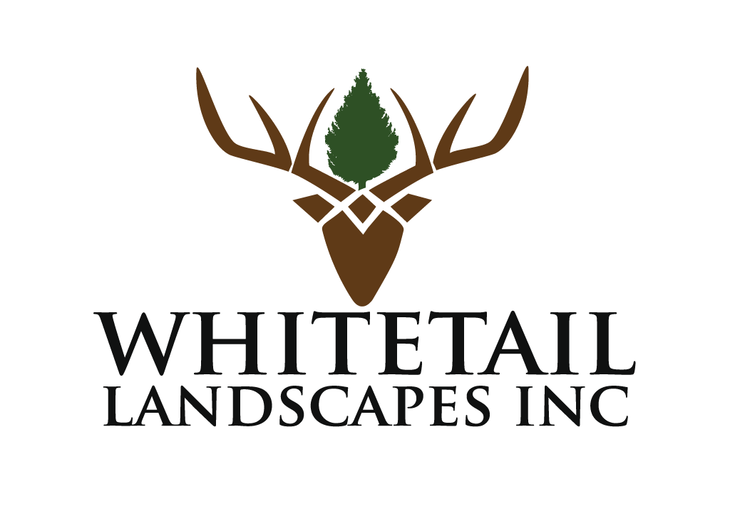 Logo for Whitetail Landscapes Inc