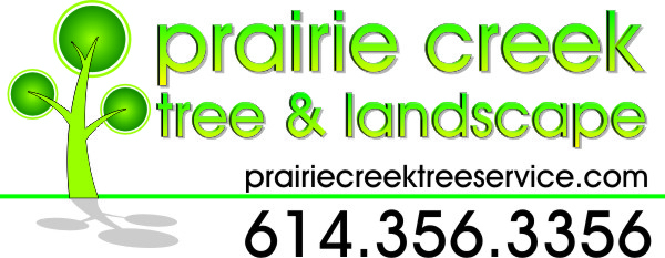 Avatar for Prairie Creek Tree & Landscape