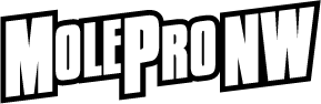 Logo for Mole Pro NW