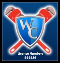 Logo for Wise Choice Plumbing and Rooter
