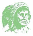 Seminole Pro Arbor Care logo