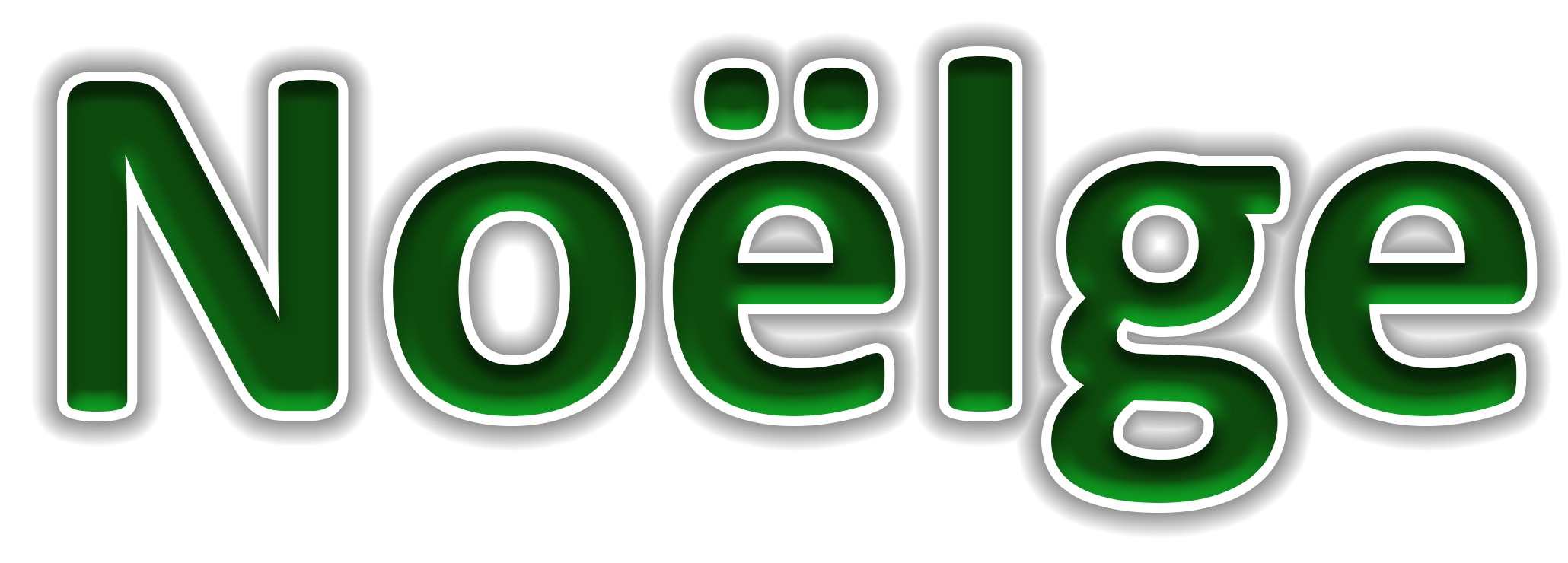 Avatar for Noelge Corporation