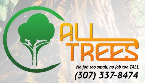 Avatar for All Trees LLC