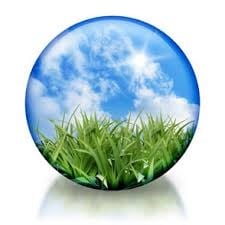 Avatar for TOWERING & BEYOND CLEANING SERVICES