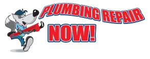 Logo for Plumbing Repair Now