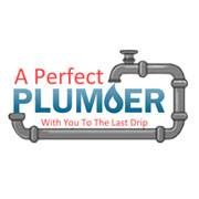 Logo for A Perfect Plumber