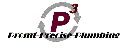 P3 Plumbing logo