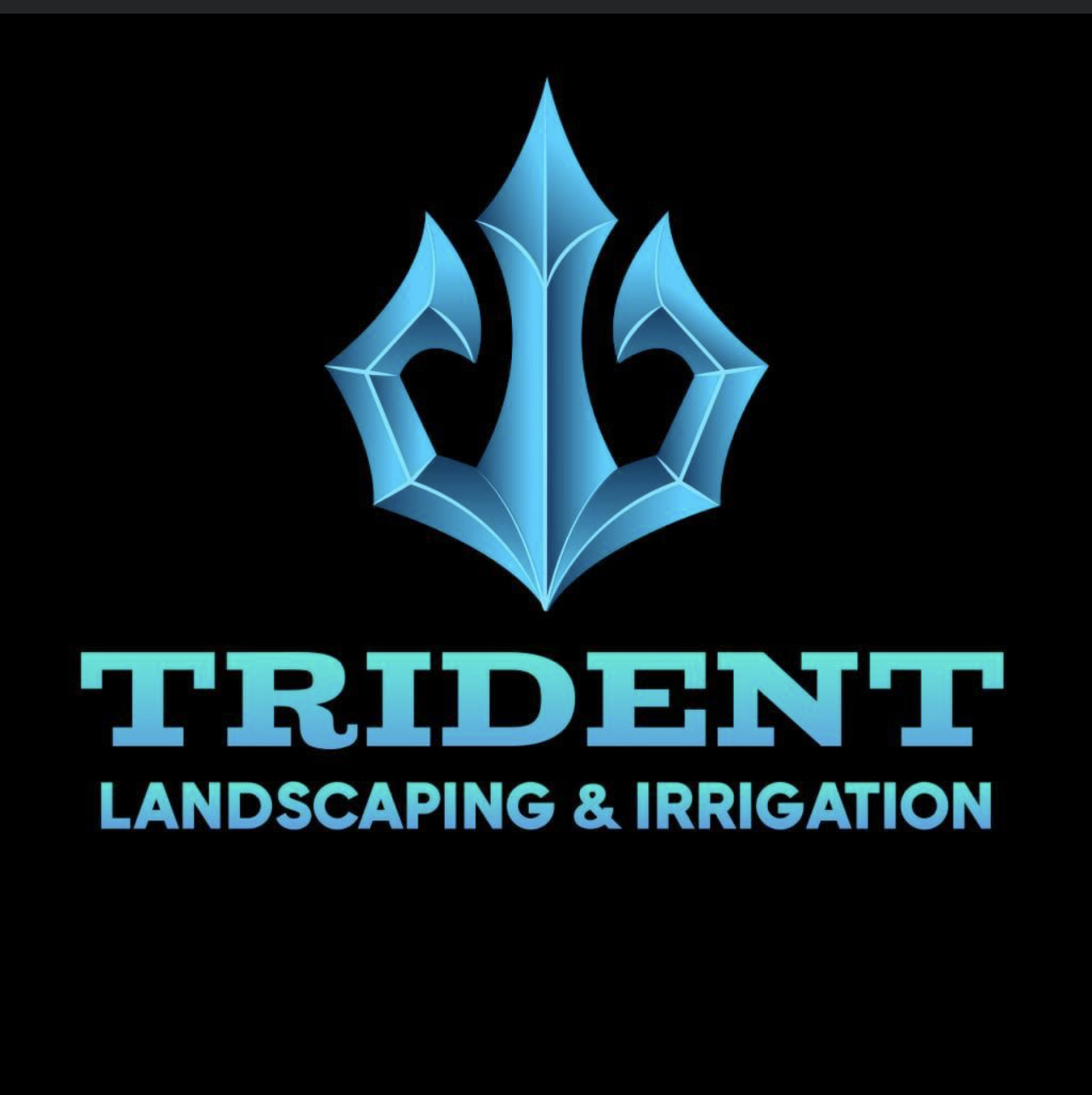 Avatar for Trident Irrigation