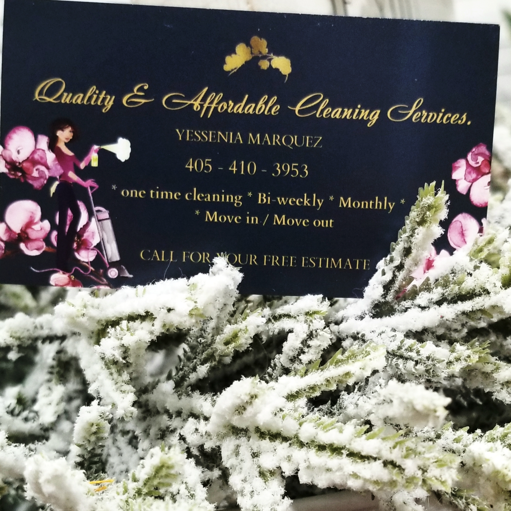 Logo for Quality and Affordable Cleaning Services
