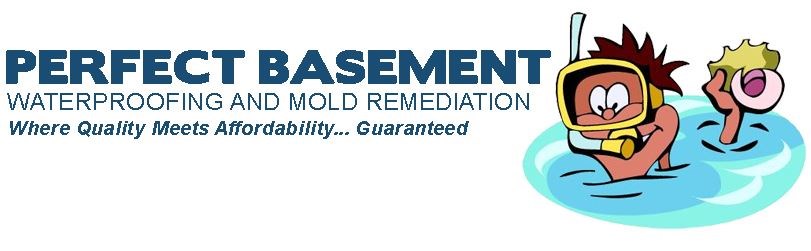 Logo for Perfect Basement LLC