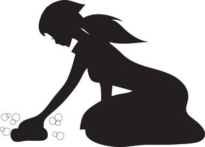 MaidPerfectPDX logo