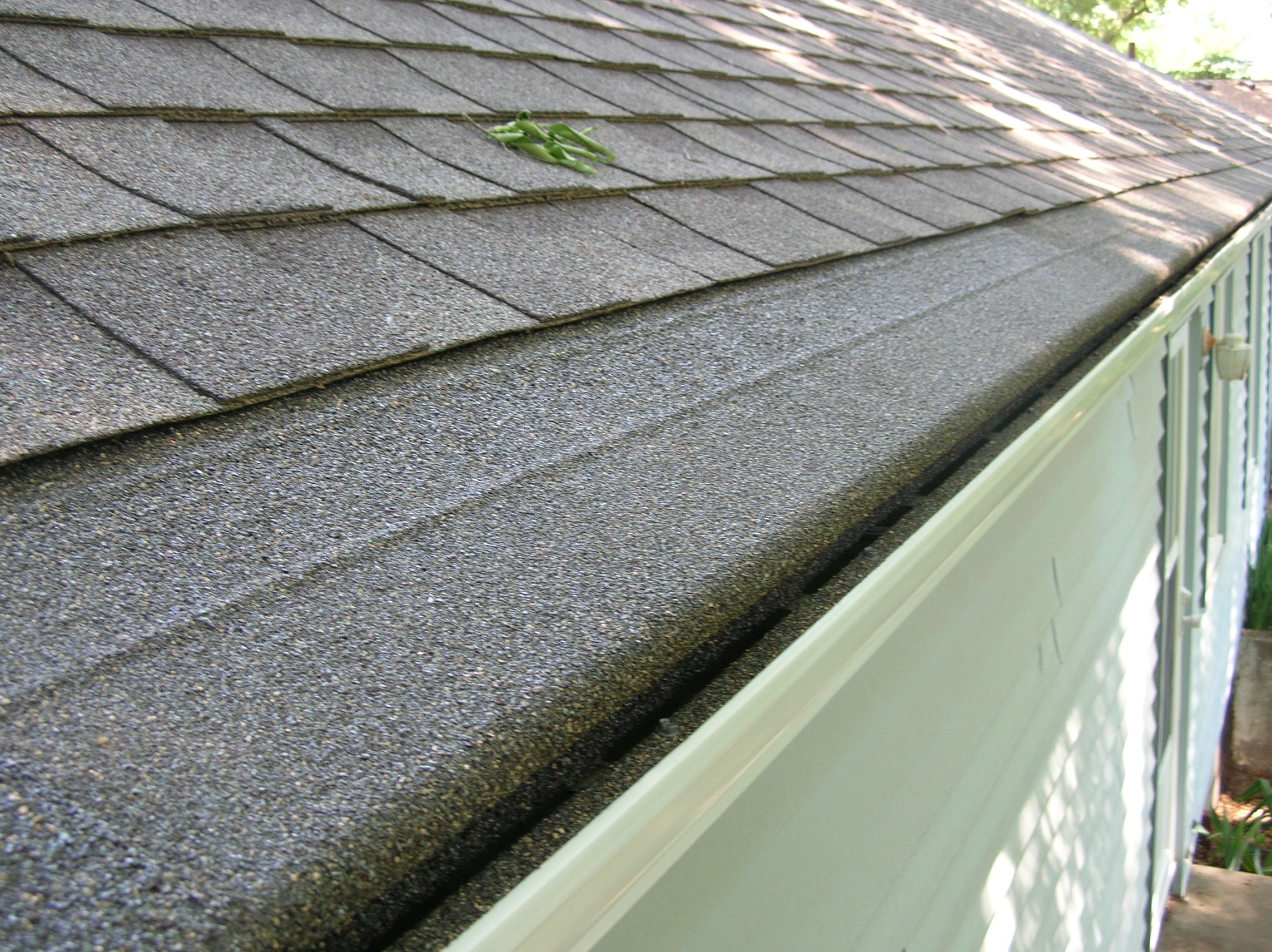 DYNAMIC GUTTER AND COVER logo