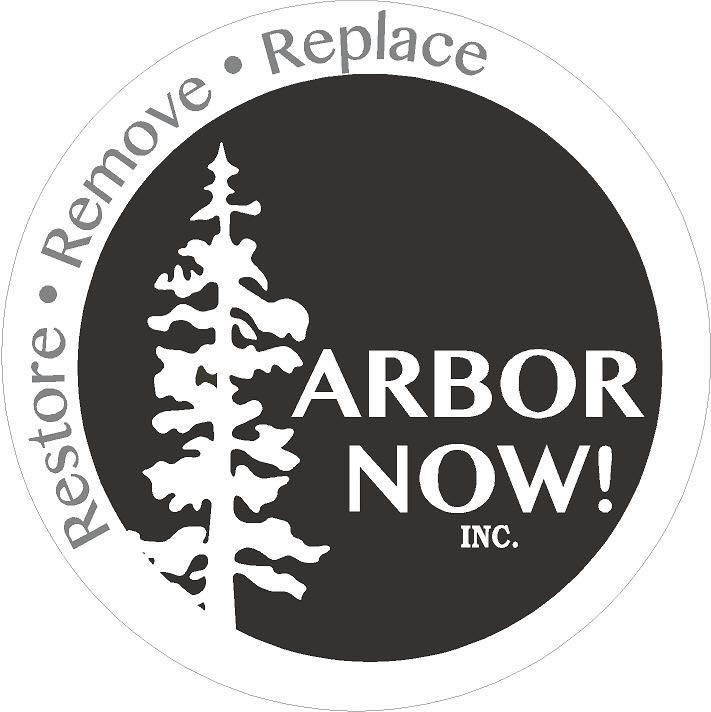 Logo for Arbor Now! LLC