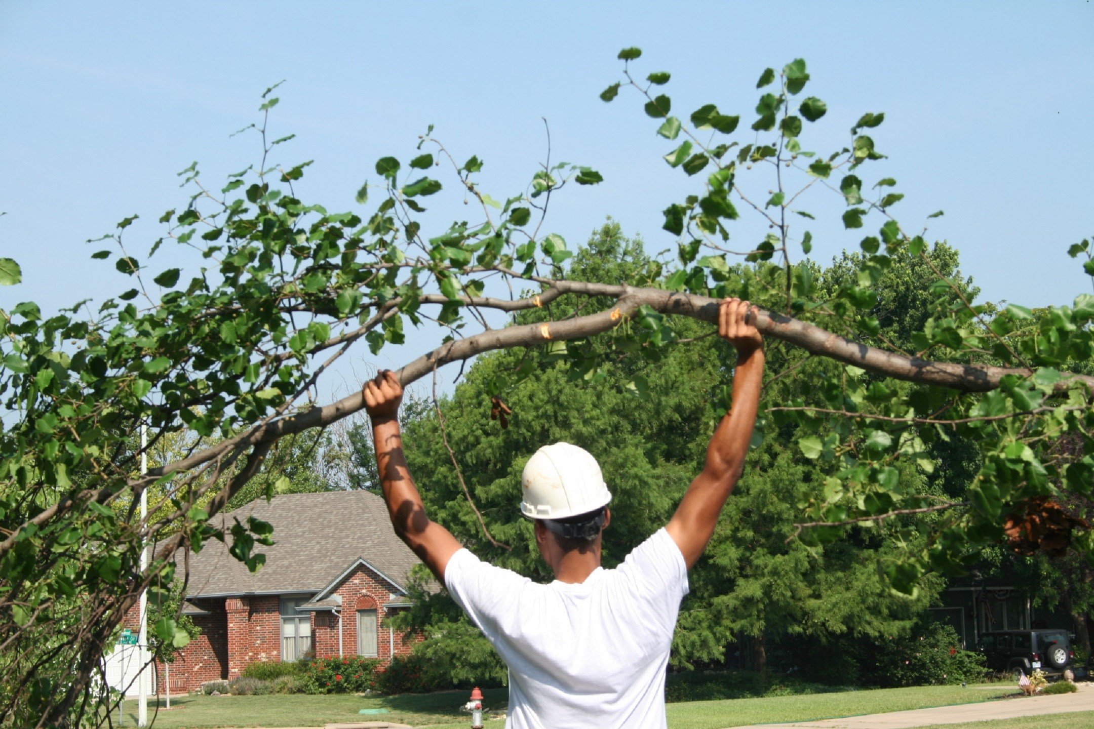 Wichita Tree Service LLC logo