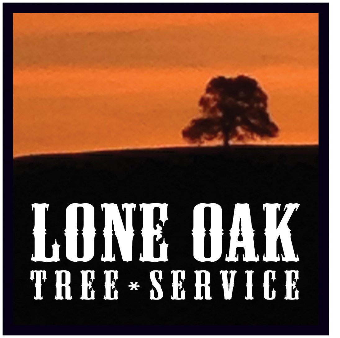 Logo for Lone Oak Tree Service