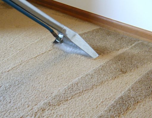 Clean Co Fresh Carpet Cleaning logo