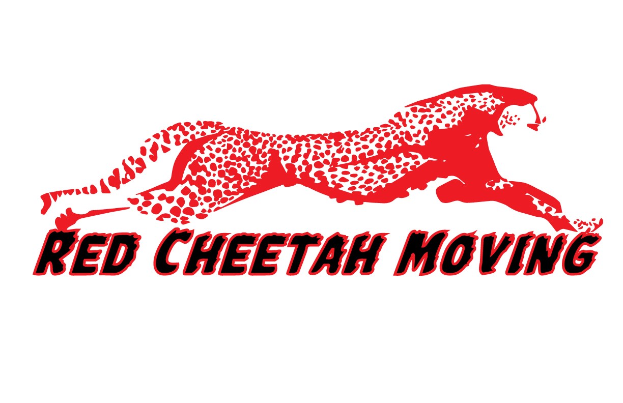 Avatar for Wild Safari Moving
