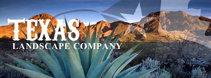 Avatar for Texas Landscape Co