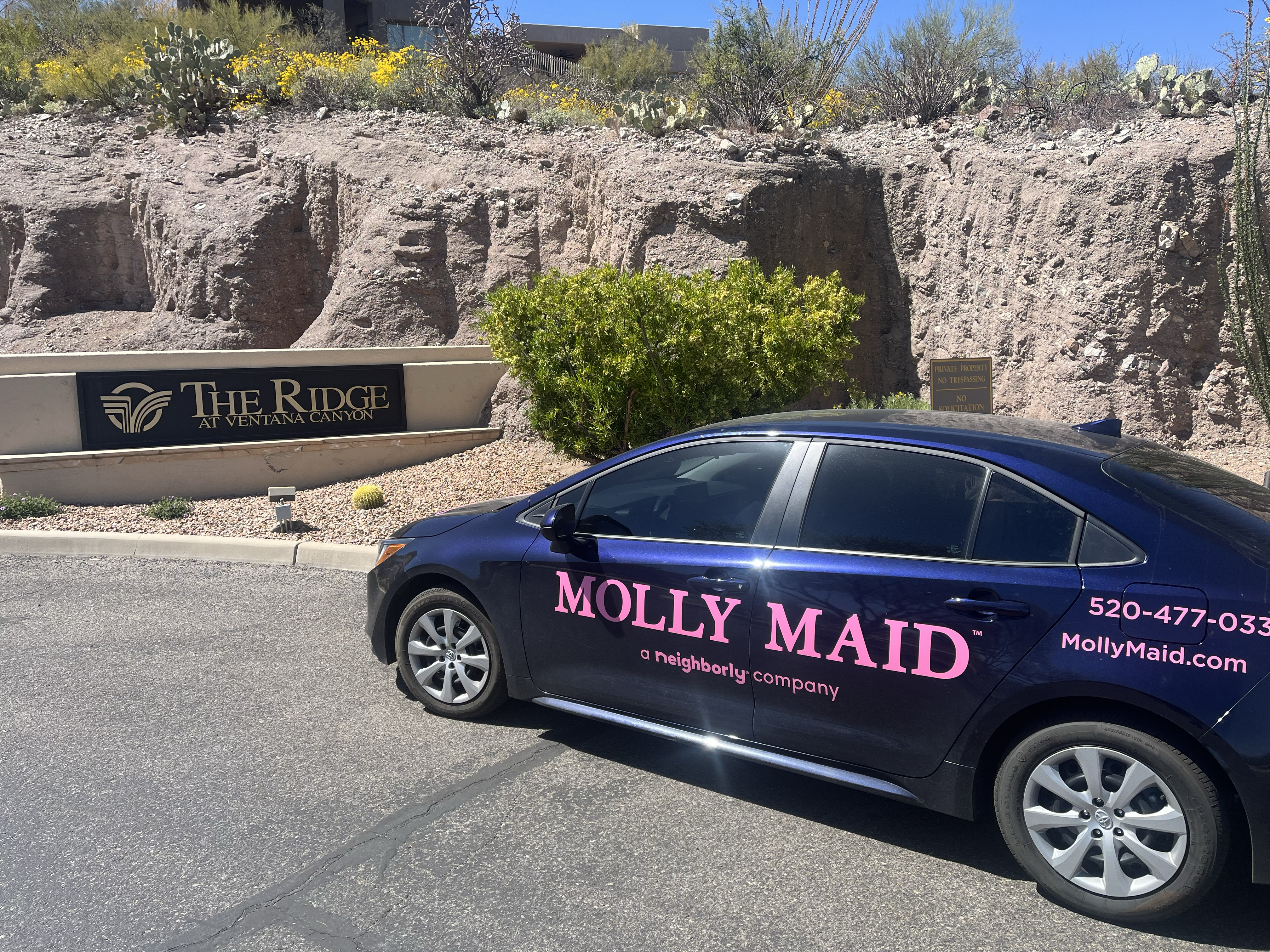 Molly Maid of North Tucson logo