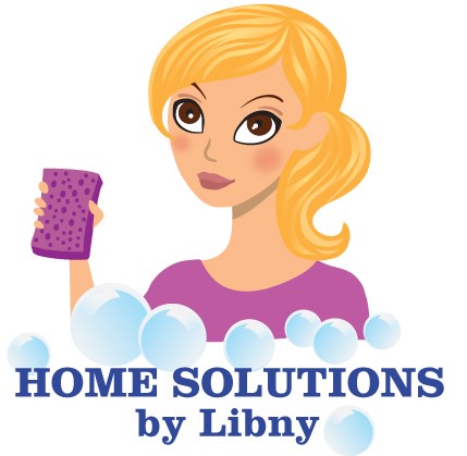 Logo for Home Solutions by Libny