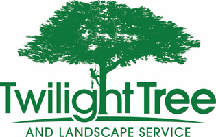 Logo for Twilight Tree and Landscape