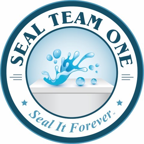 Logo for Seal Team One Arizona