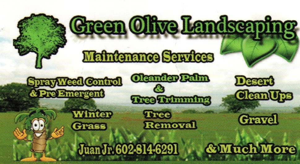 Green Olive Landscaping logo