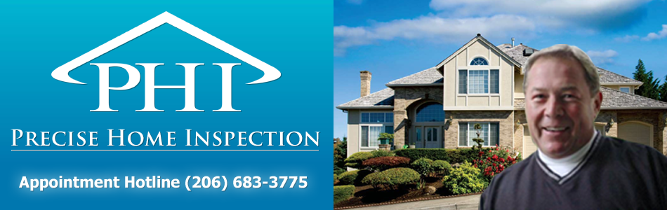 Precise Home Inspection Service, LLC logo