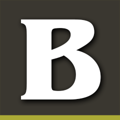 BARN PROS INC logo