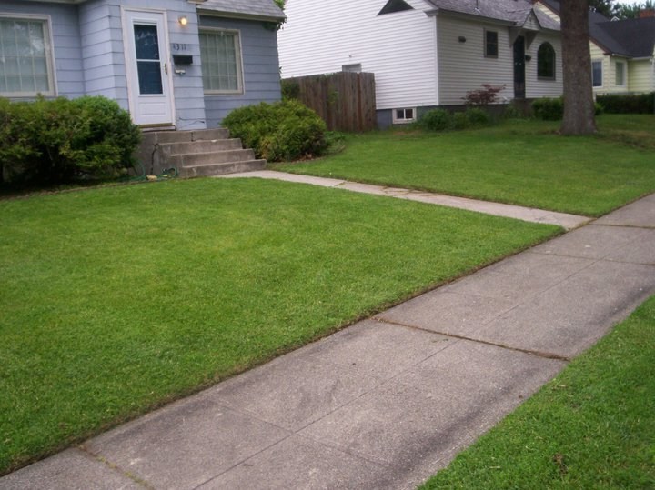 Logo for Affordable Option Lawn Care