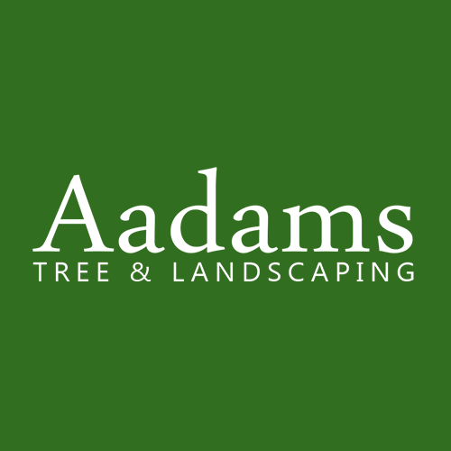 AAdams Tree and Landscaping logo