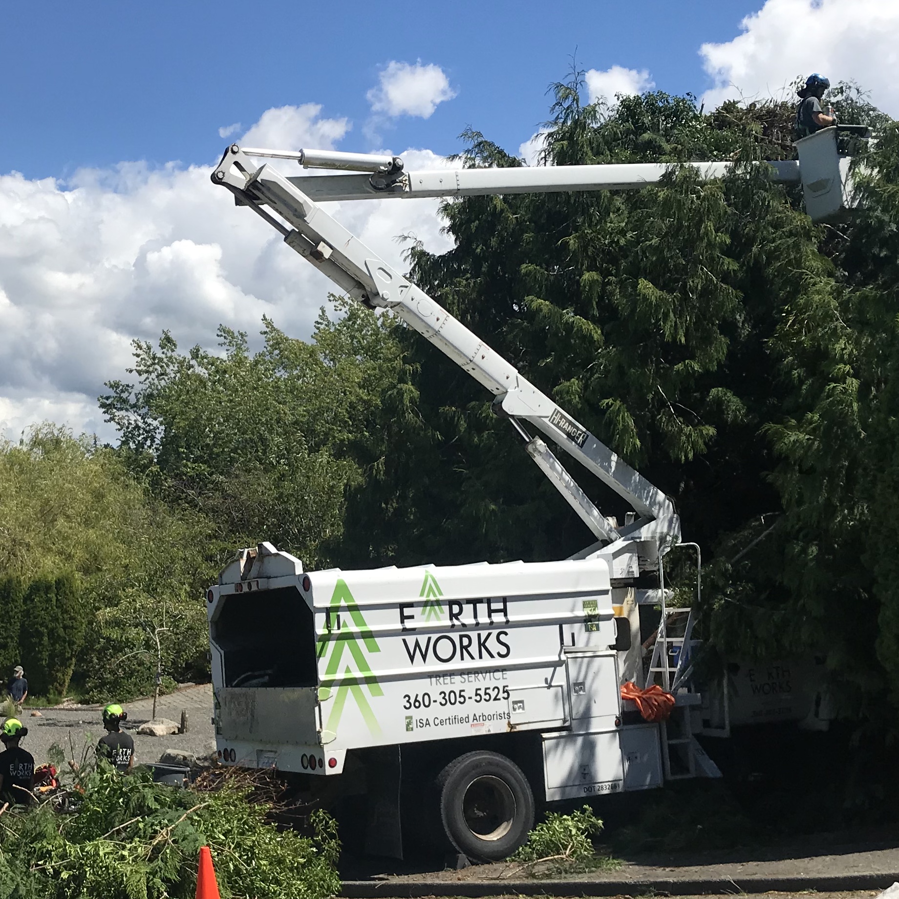 Earthworks tree service logo