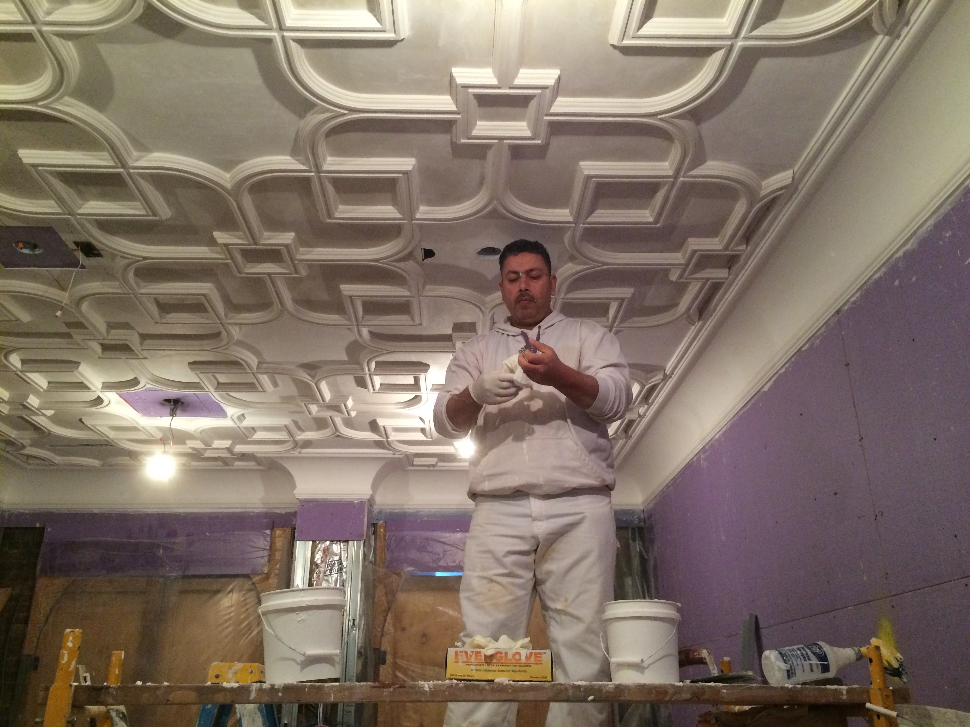 Ornamental Plaster Arts logo