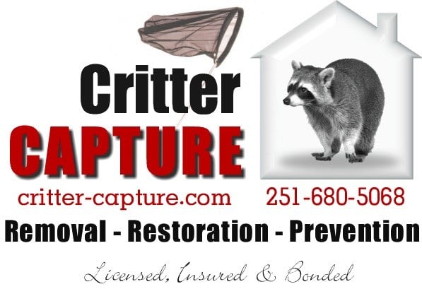 Avatar for Critter Capture LLC