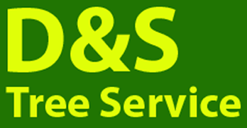 Logo for D&S tree service