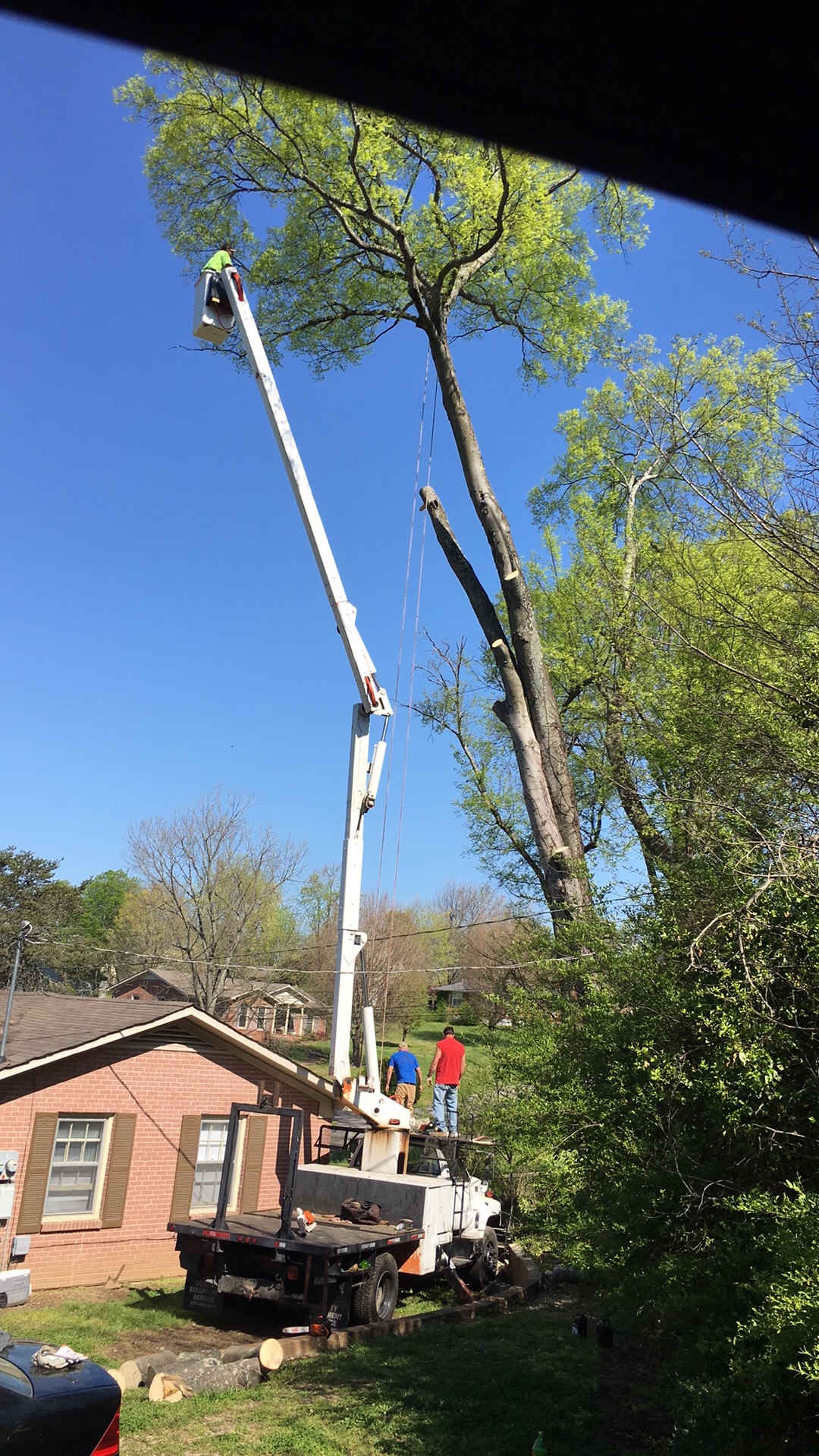Logo for Quality First Tree Service
