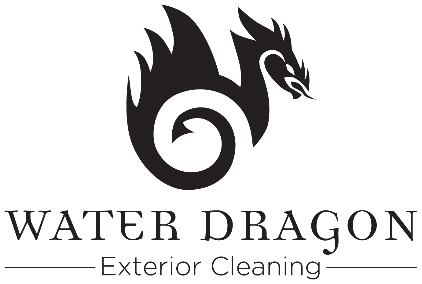 Logo for Water Dragon Exterior Cleaning