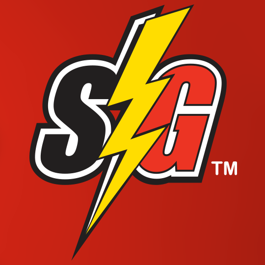 Storm Guard Roofing and Construction logo