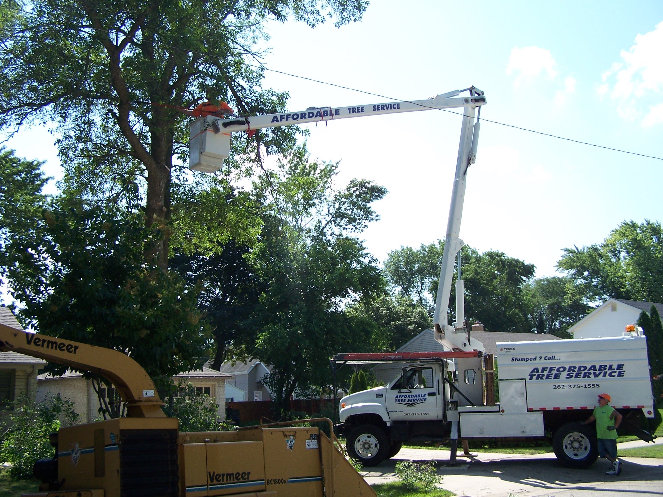 Logo for AFFORDABLE TREE SERVICE
